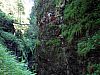 IMG_6574.JPG